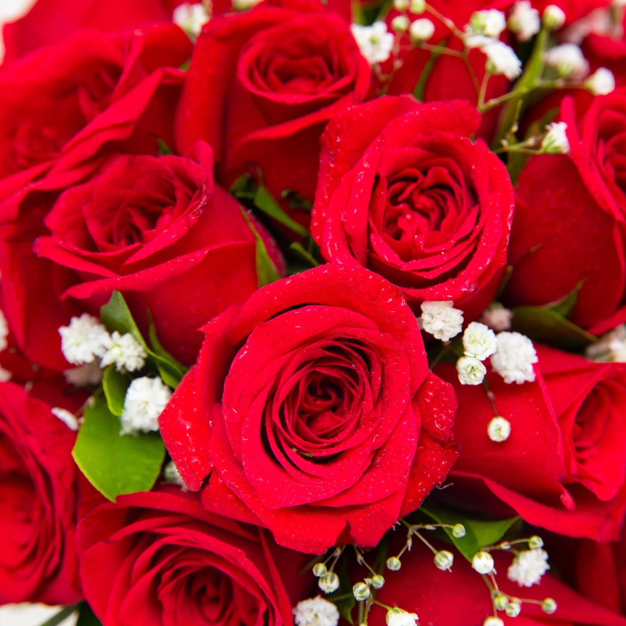 Red Flowers